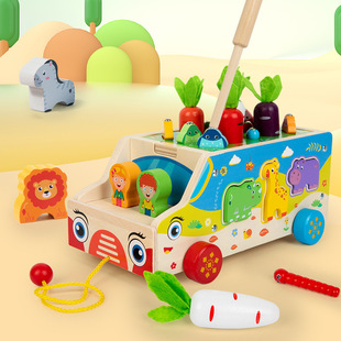 Wooden Children's Early Education Parent-Child Interactive Fruit and Vegetable Cutting and Viewing Fun Educational Pretend Play Gift Toy for Boys and Girls