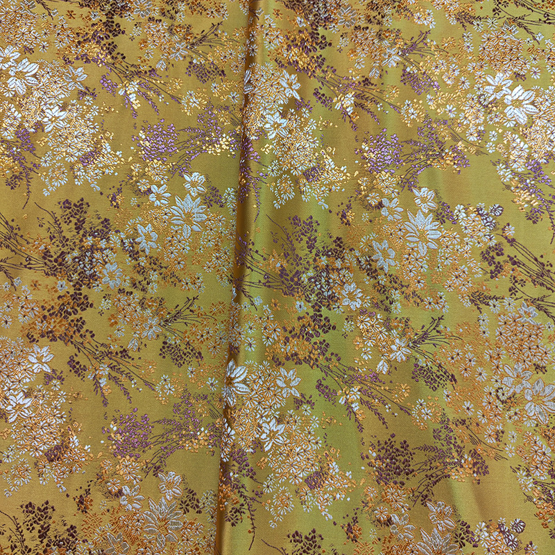 杨柳花金黄 (19)