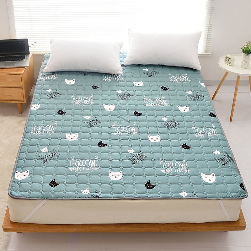 업그레이드된 고양이 그린