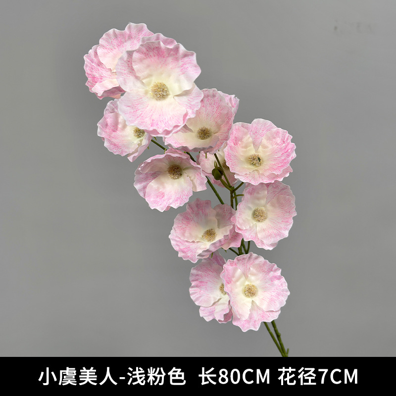 작은 양귀비 - 옅은 핑크