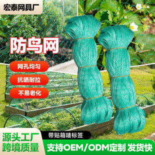 �羳���B�WBird net����ϩPE�D���W���@����ͥԺ���ѹ���r�B�W��