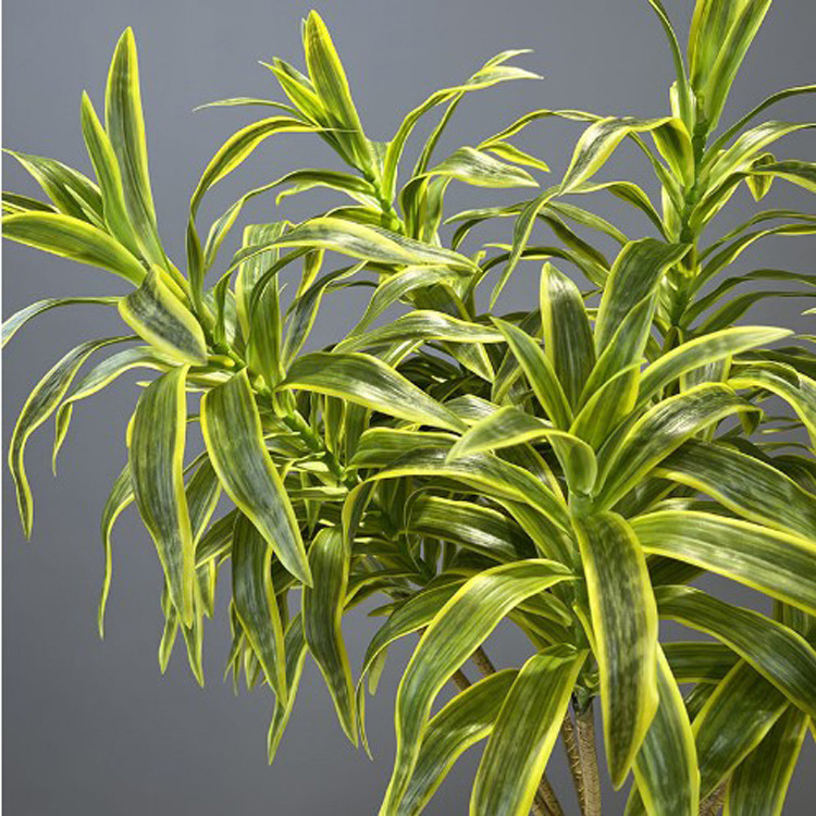 Lily bamboo potted decorative plant potted indoor living room…