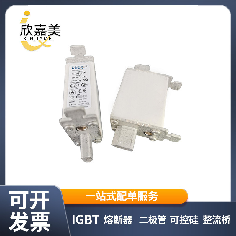 170M1566 170M1567  快速熔断器  全新原装 电子元器件量大价优