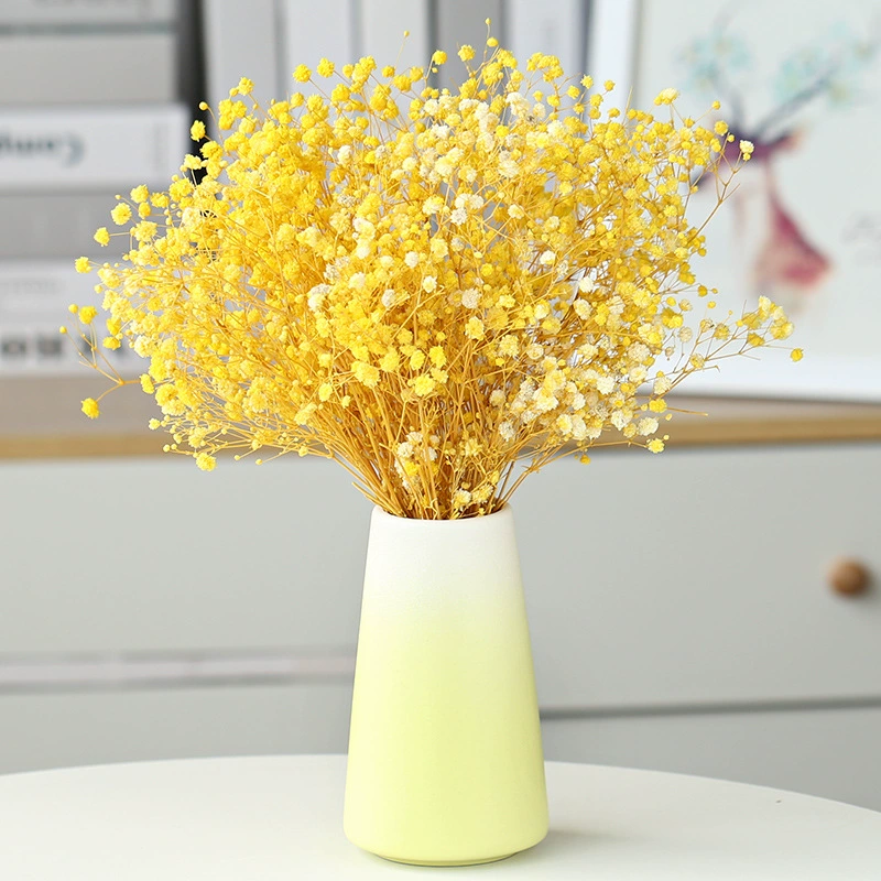 BOFAN креативный скандинавский сушеный цветок художественная ваза украшения керамическое украшение для гостиной обеденный стол цветы лилии цветок аранжирование Гидропоника