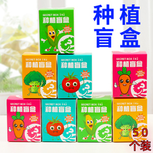 种植物盆栽盲盒初中学生儿童节日伴手礼物幼儿园全班实用奖励品