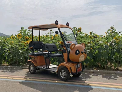 Elektrikli qolf avtomobilləri Car, Golf Cart with Canopy