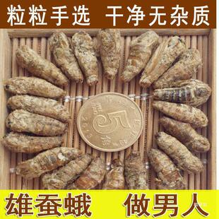 ���a���Q������������δ�������Q����ݾ�ԭ�Q�� 250����؛��؛��