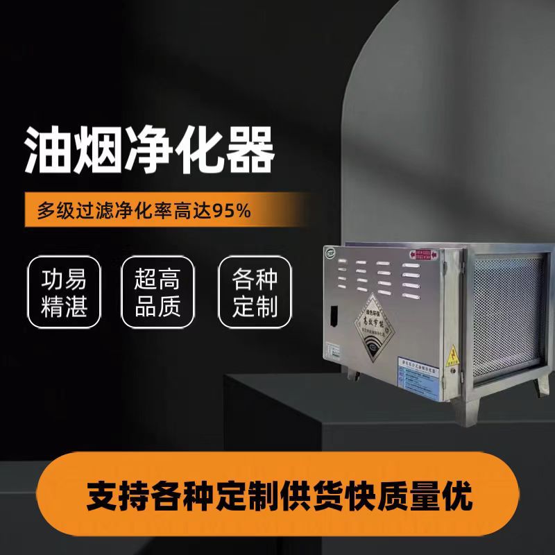 工厂餐饮业食堂面馆酒店厨房静电板式高空排放油烟净化器
