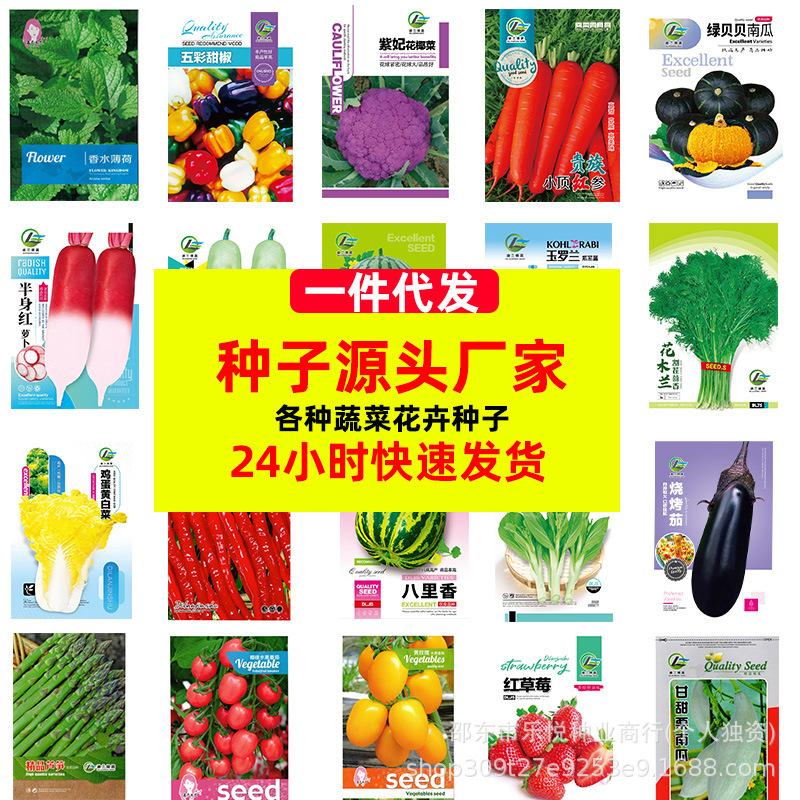 Wholesale four-season spring, summer and autumn vegetable seeds melon and fruit seeds balcony potted farmland vegetable garden vegetable seeds