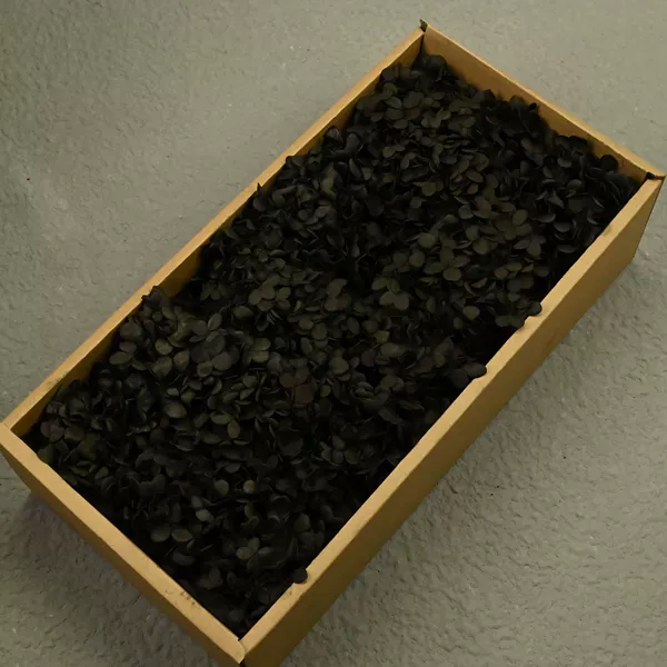 AB wood hydrangea black (100g)