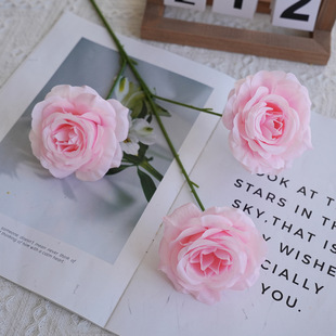 ���^�ʯõ�廨��ɫ���x�b[��ins�L�Ĕz���յ��߱������滨