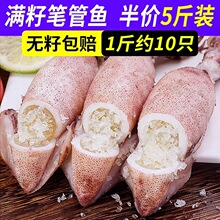 新鲜大海兔满籽籽乌全籽带籽新鲜笔管鱼小墨鱼鱿鱼冷冻海兔子海鲜