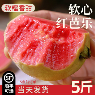 �V��ܛŴ�t�İŘ����r������ʯ�������֬�t������]����