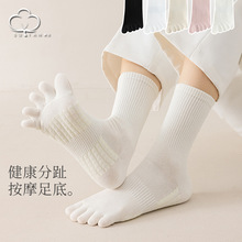 五指袜子女中筒袜春夏按摩底棉袜透气吸汗分趾女袜秋冬女士长筒袜