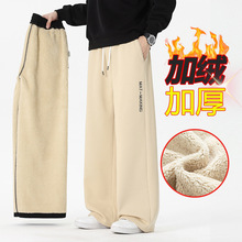 羊羔绒裤子男款冬季加绒加厚休闲直筒卫裤男士秋冬款男裤男生棉裤