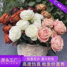 �����������õ �ٻ����������b[�� ͥԺ�͏d�����b�Y����