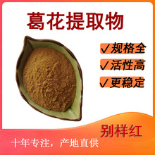 葛花提取物10:1 水溶性原料 葛花粉 食品保健品原料 厂家直发