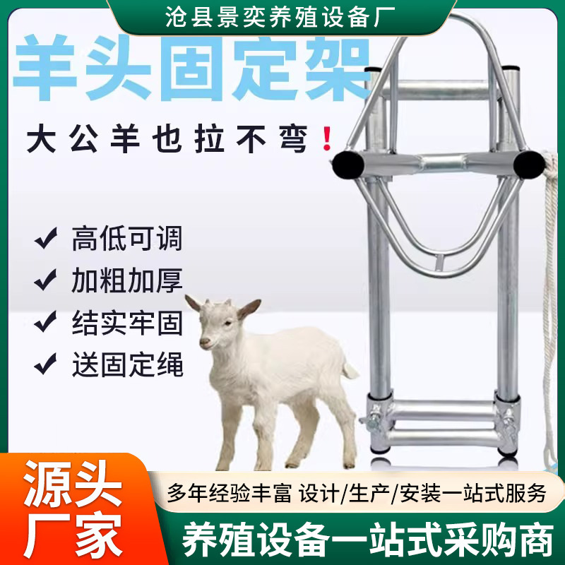 羊頭固定具、羊用ケージ、羊持ち上げ用フック、羊毛固定具、注射保定架、羊頭ブラケット|undefined