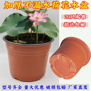 �Ӻ�©ˮ�pɫ��o��ˮ��ֲ��ɻ���˯ɏ��һ��������ˮ��]�ж�