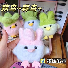 ��h�Ą��l��ż���B�ѻ���ɫ�޶���������h��ƽ�Bë�q�l���
