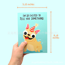 �羳�¿�Farting Dog Birthday CardȤζ�����R����ƨ��ţ�R��