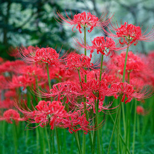 10�w�˰���ʯ��N����������ɳ�A���@�̨�������ͺ��������ֲ��