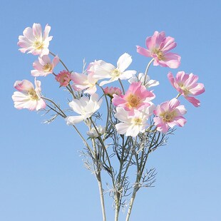 ���滨��ɣ����˹�Ն�ֲ֦ë��˹�ռٻ��ҾӔ[����c�zӰ�b�