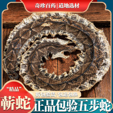 蕲蛇中药材正品真货五步蛇干大白花蛇整条泡酒另售金钱白花蛇蝮蛇