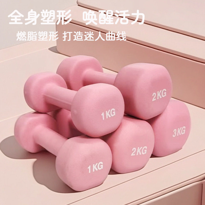 Dumbbell Home Strength Training Solid Dipped Kettlebell Arm Muscle Training Women's Slim Belly Barbell Kettlebell Students Can Use