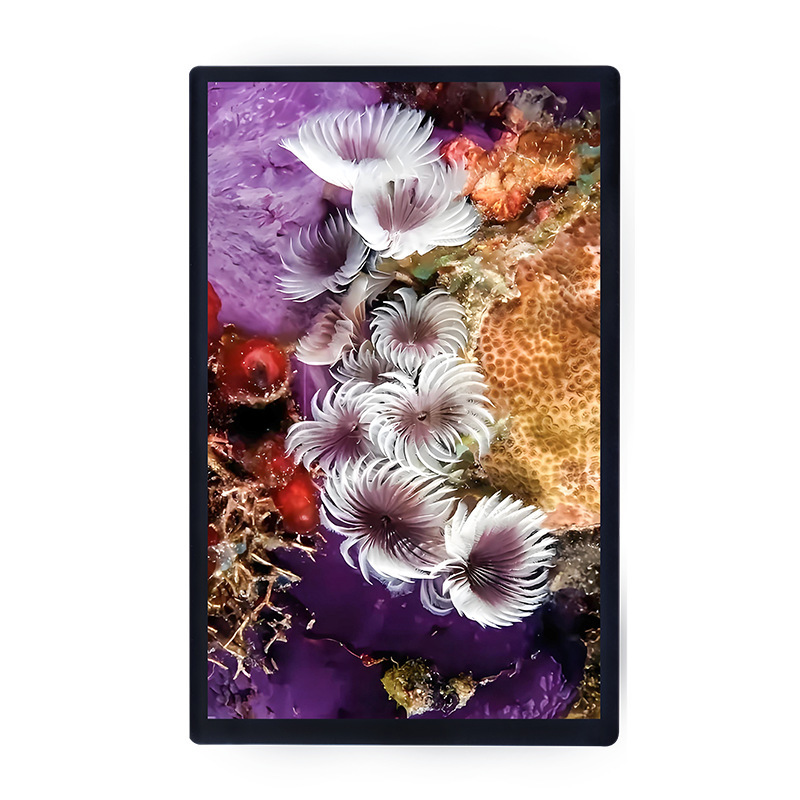 10.1インチ800*1280縦スクリーンtft液晶パネルlcdディスプレイタッチパネルアセンブリili9881c/9365|undefined