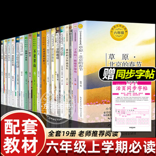 ���꼉�σԱ��x���n���С�W�Z��ͬ����x�ώ����]�۵Ľ�����ԭ��