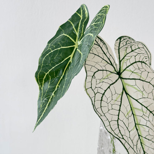 Alocasia leaf simulation flower forest leaf material wedding decoration plant simulation green plant indoor living room flower arrangement Guanyin lotus
