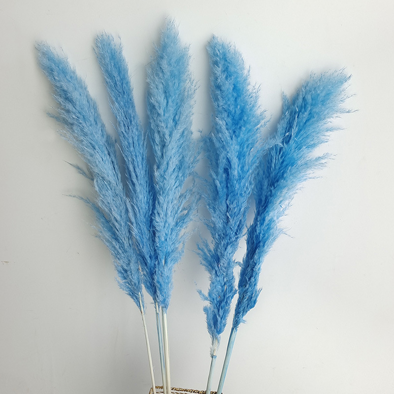 (6)5 꽃 스파이크 70-80cm 전체 길이 약 140cm