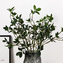 Gֲֲ ֦Ř~ ָоG~m ̾GҾb