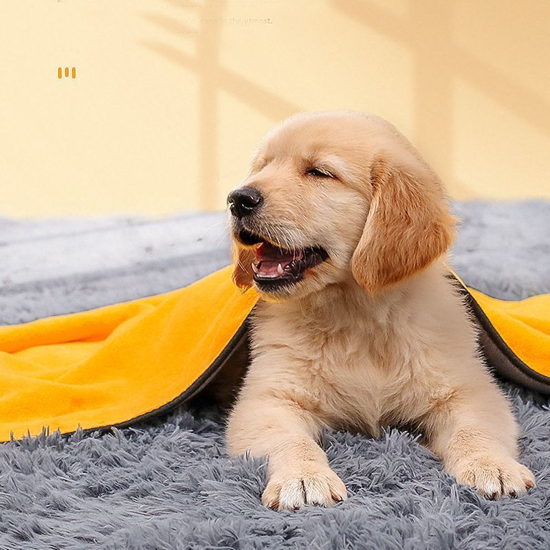 Special Absorbent Towel for Pets, Dogs and Cats, Golden Retriever Bath Towel, Extra Large Size, Non-Stick, Non-Shedding, Super Quick-Drying