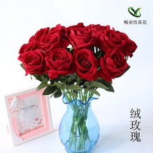 �S�����l�ٻ��b[�����߾Ƶ��c��֧�����ٲ��q��õ�廨���滨