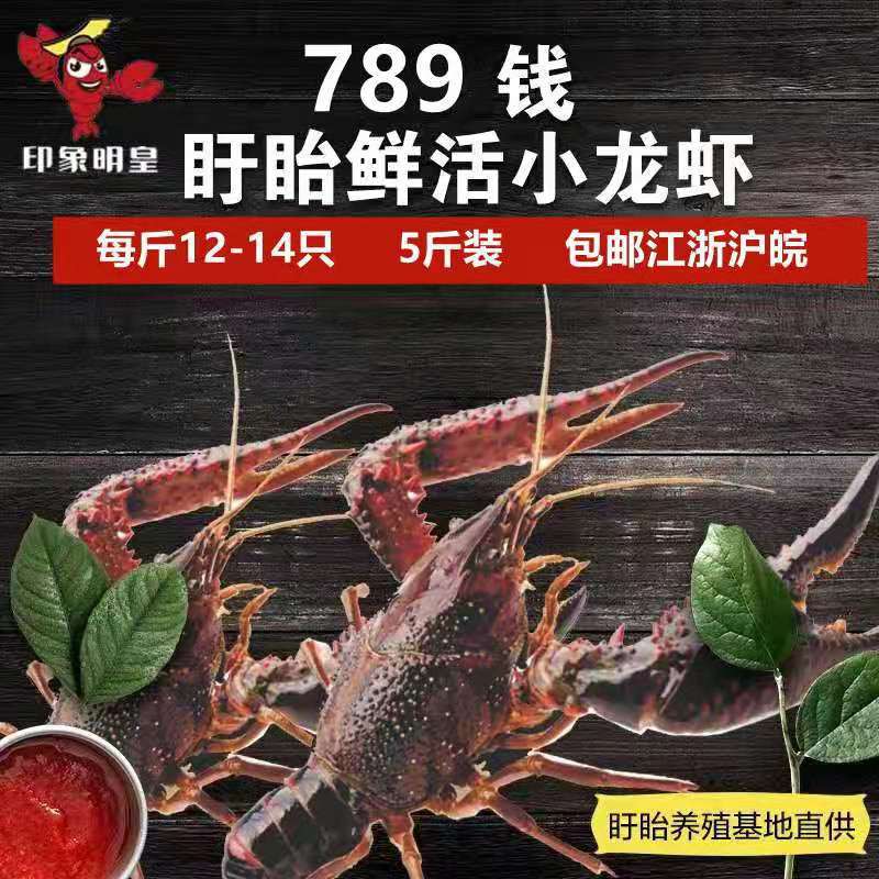 7895 Xuyi Hongze Lake Fresh Aquatic products breed Shimizu Crayfish Fresh Xuyi Thirteen Russell