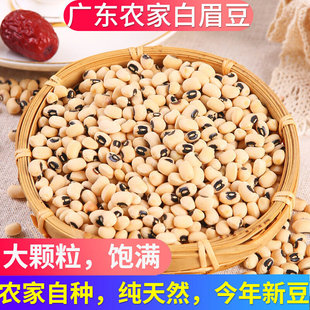 ��ü��500�V�|�r���ԷN�׸׶��׶�����N���Ҝ����r��؛�ɶ�