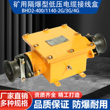 �V�ø����͵͉���|�Ӿ��� BHD2-400A-2G 2ͨ�����Ӿ���