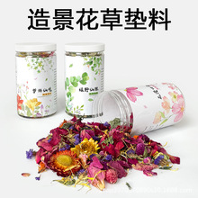 ��Ԅ���݉|�ς}��|�Ͻ�z�ܸC�쾰��Ʒ�ɻ�����ľм