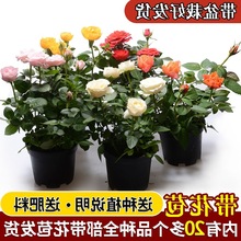 �羳õ�廨������ش󻨎��������ܾGֲ���҃���ͥԺ�̨���Դ��l