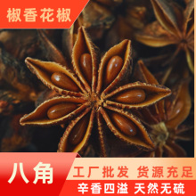 ˽ǏVϟo򼃸l~{ζϴȫƷo