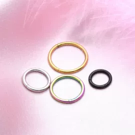 鼻饰;耳夹;耳钉