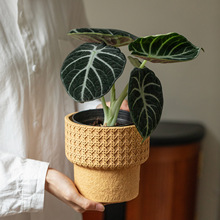 复古仿编织格子水泥小花盆带托盘客厅家居室内种多肉花器阳台摆件