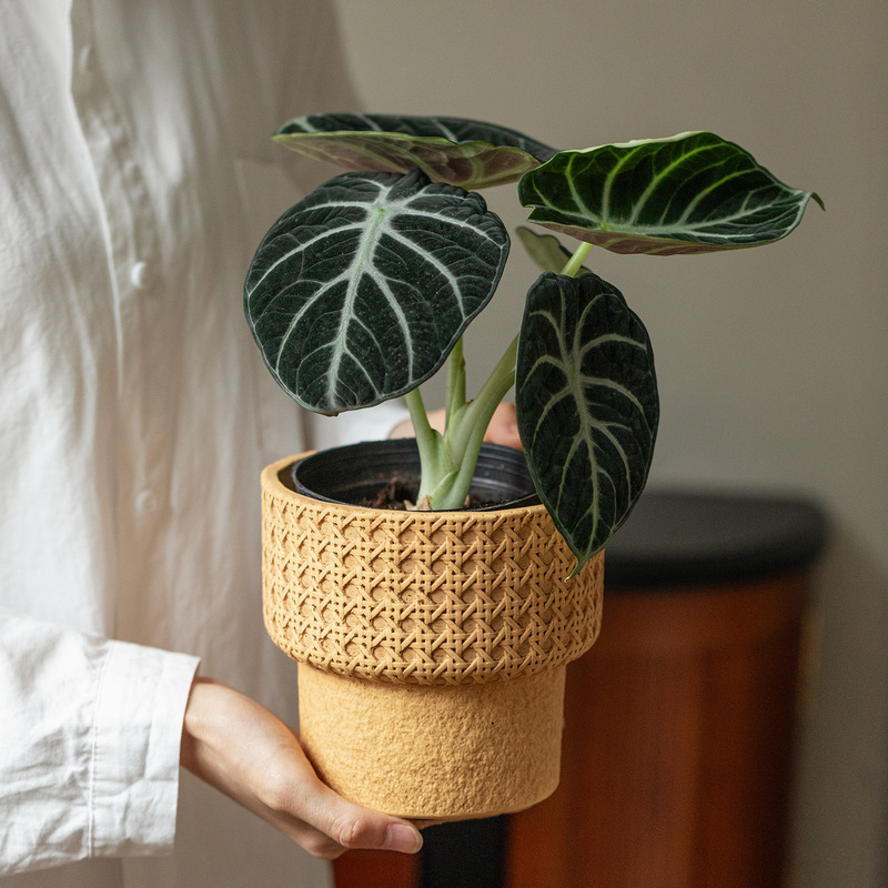 Retro Imitation Woven Plaid Cement Small Flower Pot with Tray Living Room Home Indoor Succulent Flower Pot Balcony Ornaments