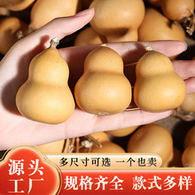 ��Ȼ������J�����ְѼ�����С���J����[����Ů������S�����l