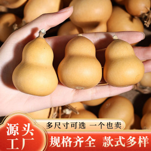 ��Ȼ������J�����ְѼ�����С���J����[����Ů������S�����l