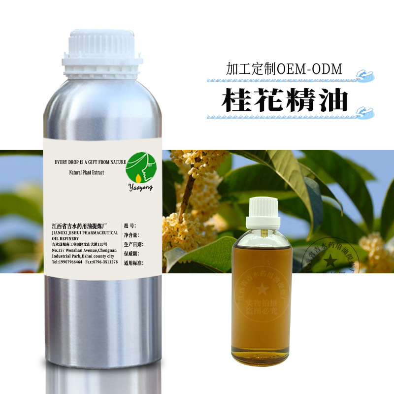 供应 桂花精油  单方精油   香薰精油 原料批发