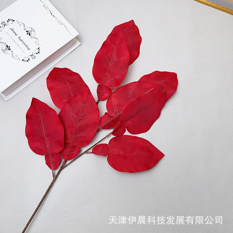 큰 자몽 잎 - 빨간색