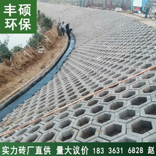 焦作砖厂大量供应空心六角护坡砖河道生态水利河道砖混凝土六角砖
